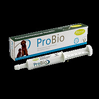 ProBio paste, 60 ml