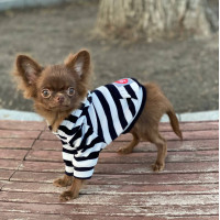DIEGO hoodie «Смужка» - xs