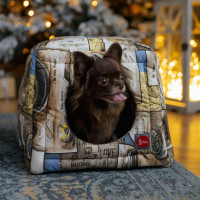DIEGO rest transformer "Компас"