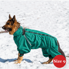 DIEGO snow F «Зелений» - 9-розмір
