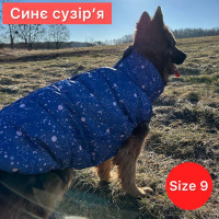 DIEGO sport "Сузір'я" - 9-розмір, синє-сузіря