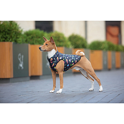 Курточка для собак WAUDOG Clothes рисунок "Год и Морти 2", M50, В 76-79 см, С 55-61 см