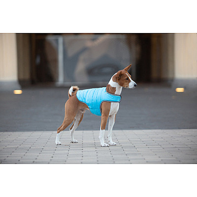 Куртка-накидка для собак AiryVest, L, B 58-70 см, С 42-52 см блакитний