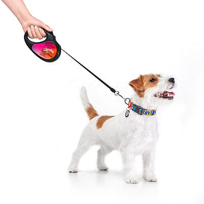 Повідець-рулетка для собак WAUDOG R-leash, малюнок "Конотопські магічні війська", S, до 15 кг, 5 м, світловідбиваюча стрічка чорний