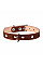 Ошейник &Cot;CoLLaR двойной с украшениями (ширина 14мм, длина 27-35см) коричневый