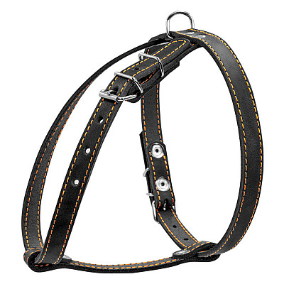 Шлей "CoLLaR" одинарная для малых пород собак (ширина 14мм, А:40-48см, В:43-51см) черный