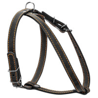 Шлей "CoLLaR" одинарная для малых пород собак (ширина 14мм, А:40-48см, В:43-51см) черный