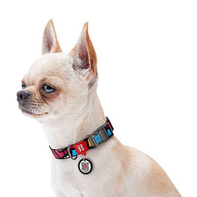 Ошейник для собак нейлоновый WAUDOG Nylon с QR паспортом, рисунок "Граффити", пластиковый фастекс, Ш 25 мм, Длин 33-49 см