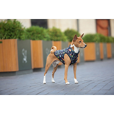 Курточка для собак WAUDOG Clothes рисунок "Год и Морти 2", L55, В 77-80 см, С 50-55 см