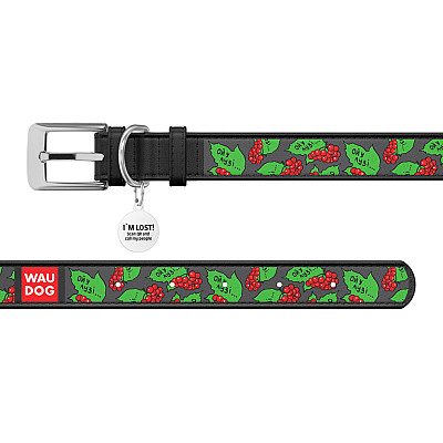 Нашийник для собак шкіряний WAUDOG Design з QR паспортом, малюнок "Калина", XS, Ш 12 мм, Дов 20-28 см, чорний