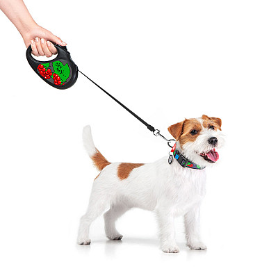 Повідець-рулетка для собак WAUDOG R-leash, малюнок "Калина", M, до 25 кг, 5 м, світловідбиваюча стрічка чорний
