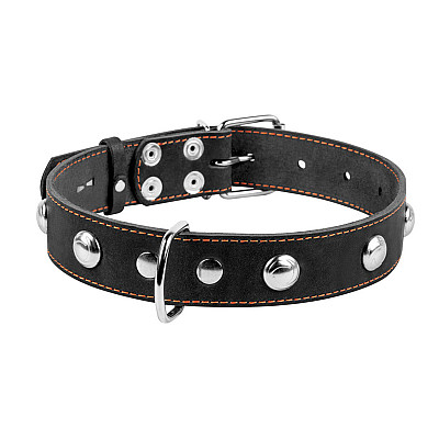 Ошейник "CoLLaR" одинарный с украшениями (ширина 35мм, длина 48-63см) черный