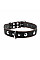 Ошейник "CoLLaR" одинарный с украшениями (ширина 35мм, длина 48-63см) черный