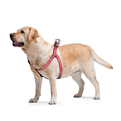 Шлея для собак WAUDOG Nylon з QR паспортом, малюнок "Етно червоний", пластиковий фастекс, Ш 25 мм, Дов 60-90 см