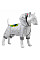 Комбінезон для собак WAUDOG Clothes малюнок "Джокер", софтшелл, M47, B 64-70 см, С 44-50 см