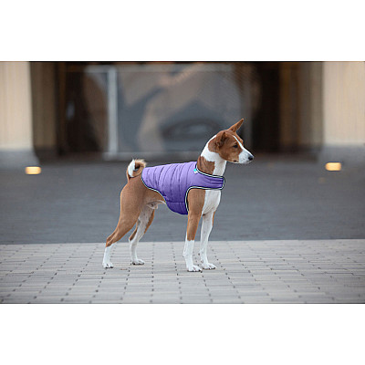 Курточка-накидка для собак AiryVest, S, B 41-51 см, С 25-35 см фиолетовый