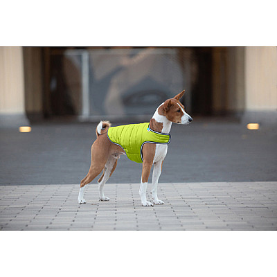 Куртка-накидка для собак AiryVest, L, B 58-70 см, С 42-52 см салатовый
