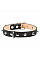 Ошейник "CoLLaR" двойной с шипами (ширина 25мм, длина 38-50см) черный