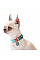 Ошейник для собак нейлоновый WAUDOG Nylon с QR паспортом, светонакопительный/светоотражающий, пластиковый фастекс, Ш 25 мм, Длинна 33-49 см голубой