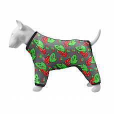 Вітровка для собак WAUDOG Clothes, малюнок "Калина", M45, В 55-60 см, С 37-40 см