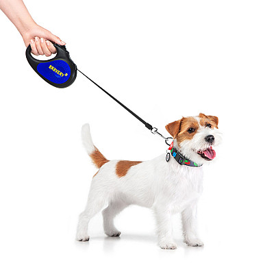Повідець-рулетка для собак WAUDOG R-leash, малюнок "Сміливість", M, до 25 кг, 5 м, світловідбиваюча стрічка чорний