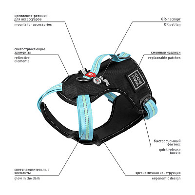 Шлей для собак безопасный WAUDOG Nylon с QR паспортом, металлическая пряжка-фастекс, S, Ш 20 мм, А 35-60 см, В 55-65 см голубой
