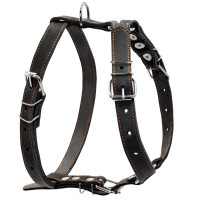 Шлея "CoLLaR" одинарна для середніх собак (ширина 25мм, А:49-68см, В:68-80см) чорний