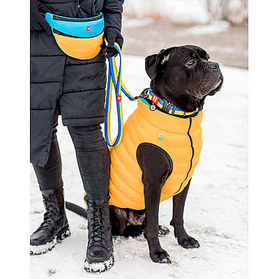 Повідець для собак з нейлону WAUDOG Nylon малюнок "Colors of freedom", розмір L-XXL, Ш 25 мм, Д 122 см