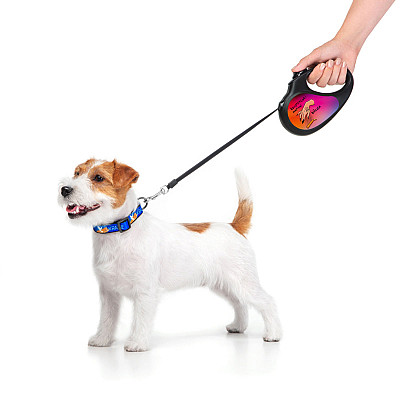 Повідець-рулетка для собак WAUDOG R-leash, малюнок "Конотопські магічні війська", M, до 25 кг, 5 м, світловідбиваюча стрічка чорний