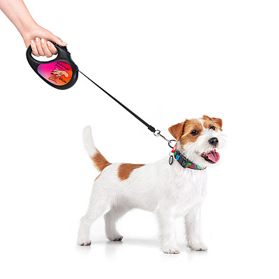 Повідець-рулетка для собак WAUDOG R-leash, малюнок "Конотопські магічні війська", M, до 25 кг, 5 м, світловідбиваюча стрічка чорний