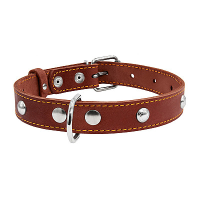 Ошейник "CoLLaR" одинарный с украшениями (ширина 25мм, длина 38-50см) коричневый