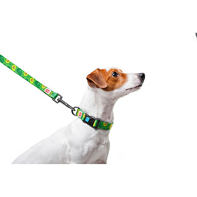 Повідець для собак нейлоновий WAUDOG Nylon, малюнок "Авокадо", Ш 20 мм, Дов 122 см