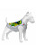Майка для собак WAUDOG Clothes малюнок "Джокер", M45, B 64-70 см, С 35-40 см