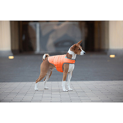 Куртка-накидка для собак AiryVest, L, B 58-70 см, С 42-52 см помаранчевий