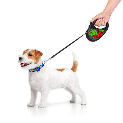 Повідець-рулетка для собак WAUDOG R-leash, малюнок "Калина", S, до 15 кг, 5 м, світловідбиваюча стрічка чорний