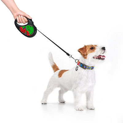 Повідець-рулетка для собак WAUDOG R-leash, малюнок "Калина", S, до 15 кг, 5 м, світловідбиваюча стрічка чорний
