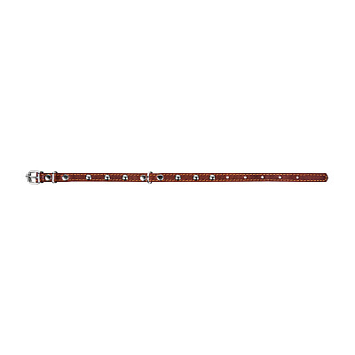Ошейник &Cot;CoLLaR одинарный с украшениями (ширина 14мм, длина 27-35см) коричневый