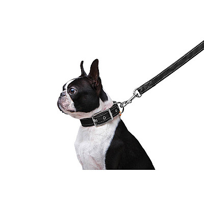Повідець "Dog Extreme" з нейлону подвійний (ширина 20мм, довжина 122см), чорний