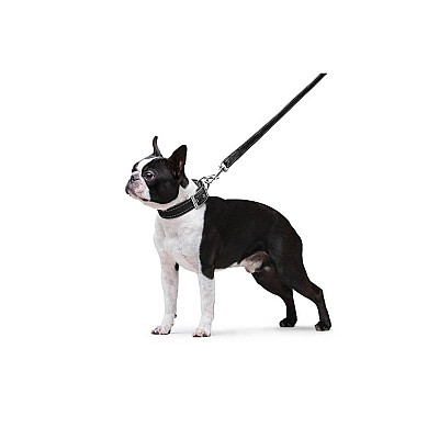 Повідець "Dog Extreme" з нейлону подвійний (ширина 20мм, довжина 122см), чорний
