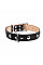 Ошейник "CoLLaR" двойной с украшениями (ширина 35мм, длина 48-63см) черный