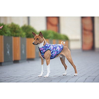 Курточка для собак WAUDOG Clothes рисунок "Год и Морти 1", L55, В 77-80 см, С 50-55 см