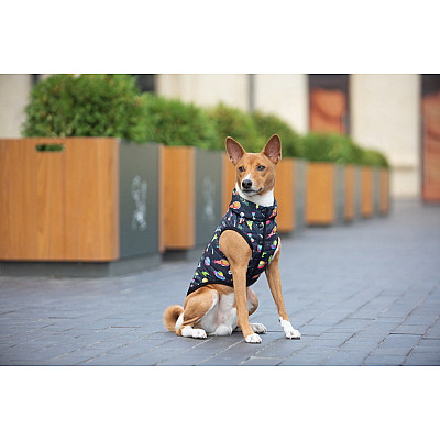 Курточка для собак WAUDOG Clothes рисунок "Год и Морти 2", M45, В 61-65 см, С 38-42 см