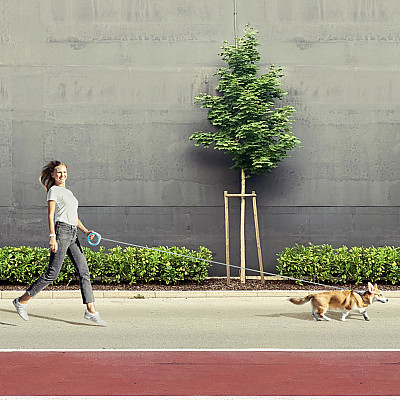 Поводок-рулетка для собак WAUDOG R-leash, круглая, XS-M, до 40 кг, 2,9 м, светоотражающая голубой лента