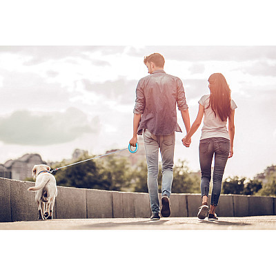 Поводок-рулетка для собак WAUDOG R-leash, круглая, XS-M, до 40 кг, 2,9 м, светоотражающая голубой лента