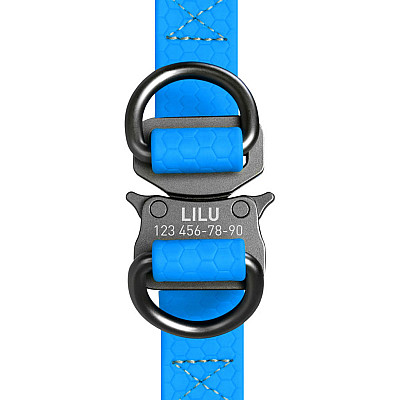 Шлей для собак водостойкий WAUDOG Waterproof, c QR паспортом, металлическая пряжка-фастекс, Ш 25 мм, Длинна 60-90 см голубой