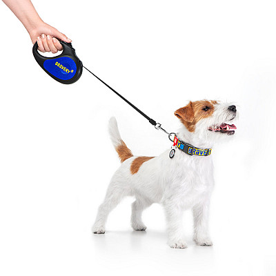 Повідець-рулетка для собак WAUDOG R-leash, малюнок "Сміливість", S, до 15 кг, 5 м, світловідбиваюча стрічка чорний