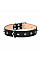 Ошейник "CoLLaR" двойной с шипами (ширина 35мм, длина 48-63см) черный