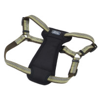 Coastal K9 Explorer Harness КОСТАЛ К9 ЭКСПЛОРЕР световозвращающая шлея с нагрудником для собак 20.4-45.3кг, Папоротник см., 2,5 х 66-96,5 см см., для собак 20,4-45,3 кг см.