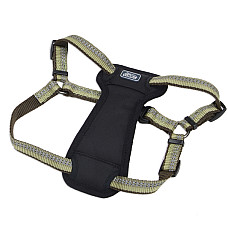 Coastal K9 Explorer Harness КОСТАЛ К9 ЕКСПЛОРЕР світловідбивна шлея з нагрудником для собак 20.4-45.3кг , Папороть см., 2,5 х 66-96,5 см см., для собак 20,4-45,3 кг см.