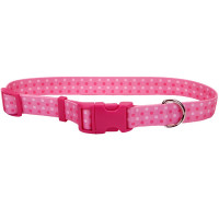 Coastal Pet Attire Styles КОСТАЛ СТАЙЛС ошейник для собак, 2.5х46-66см, розовая точка см., 2,5х46-66см.
